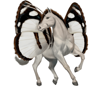 poney welsh bai