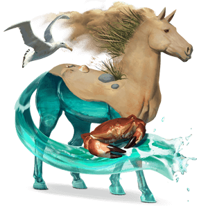 cheval de selle trotteur orlov gris pommelé