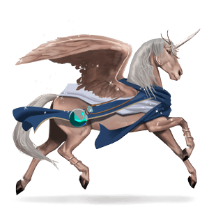 poney français de selle noir