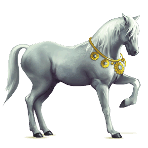 poney welsh bai brûlé