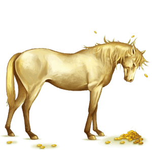 cheval de selle marwari palomino