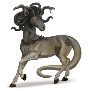cheval de selle criollo argentin bai brûlé