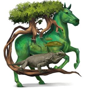 licorne de selle tinker bai