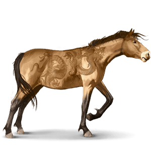 cheval sauvage misaki