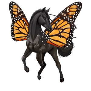 cheval de selle akhal-téké alezan brûlé crins lavés