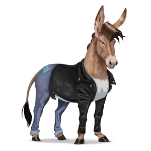 cheval de selle quarter horse alezan brûlé crins lavés