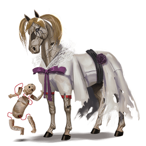 poney français de selle rouan