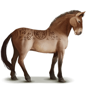 cheval sauvage przewalski