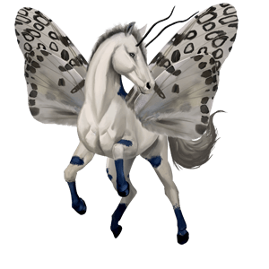 poney fjord gulblakk