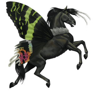 cheval de selle quarter horse alezan