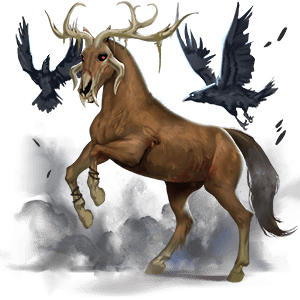 cheval de selle kwpn isabelle