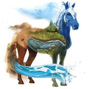 cheval de selle barbe alezan brûlé