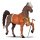 cheval nomade hip-hop