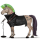 cheval nomade punk rock