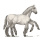 sleipnir blanc