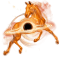 blackhole