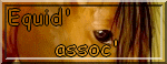 equid' assoc'