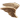 pegase_v1713961017.png