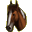les chevaux nomades