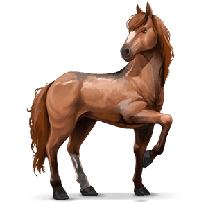 cheval de selle quarter horse alezan crins lavés