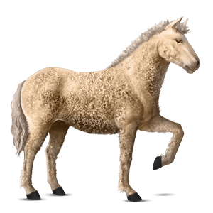 cheval de selle knabstrup leopard alezan