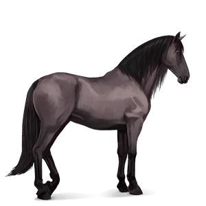 cheval de selle henson gris souris