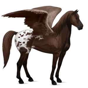 pégase de selle quarter horse aubère