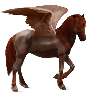 pégase camargue gris clair