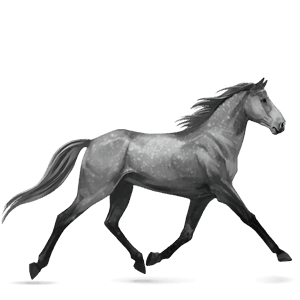 trotteur orlov