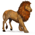 cheval sauvage lion d'afrique