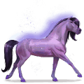 cheval de l'arc-en-ciel brave purple