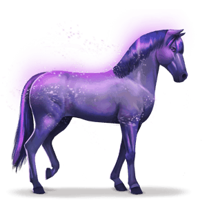 cheval de l'arc-en-ciel devoted indigo