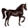 cheval de selle cheval canadien noir