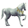 cheval nomade fidèle