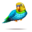 [img=https://ouranos.equideow.com/media/equideo/image/produits/32/compagnon-pinata-parakeet.png]