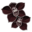 orchidee-noire.png?zojfzekkfbkerf